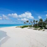 Private Tour Providenciales with Snorkeling and Iguana Island - Who Should Consider This Tour?