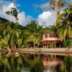Private Tour Rainforest from Tobago - Detailed Review of the Tobago Rainforest Private Tour