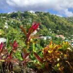 Private Tour Saint Lucia Unique Cultural Immersion Experience - FAQ