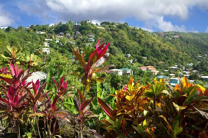 Private Tour Saint Lucia Unique Cultural Immersion Experience - FAQ