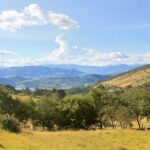 Private Tour Salt Cathedral & Lake Guatavita: Tickets, Guide, 12h - Practical Details and Value