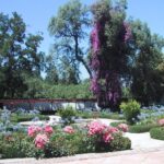 Private Tour: Santa Rita Vineyard with Wine Tastings - Pricing and Value