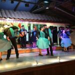 Private Tour: Santiago at Night with Dinner and Show - Key Points