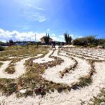 Private Tour: Swim with Turtles, Cave Pool & Floating Breakfast - Final Thoughts