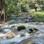 Private Tour Through Jamaican Countryside to Benta River Falls - Final Thoughts: Is This Tour for You?