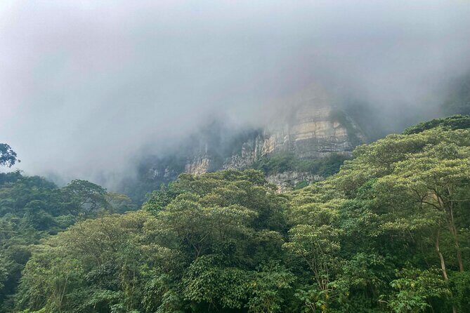 Private Tour through the Chicaque Natural Park and Forest of Fog - Who Will Love This Tour?