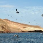 Private Tour to Ballestas Islands, Ica and Huacachina Including Sandboarding - An In-Depth Look at the Tour Experience
