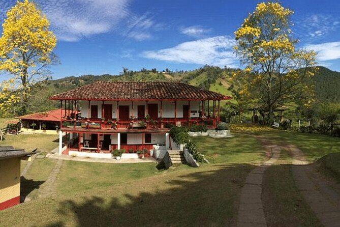 Private Tour to Coffee Farm (farm of your choice) - A Detailed Look at the Coffee Farm Tour in Pereira