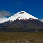 Private Tour to Cotopaxi National Park + Rose Plantation - What We Love About This Experience