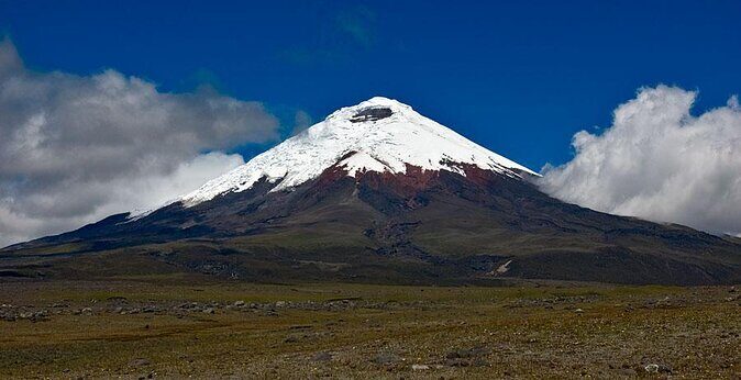 Private Tour to Cotopaxi National Park + Rose Plantation - What We Love About This Experience