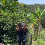 Private Tour to Guatapé & Coffee Farm from Medellín! - FAQs