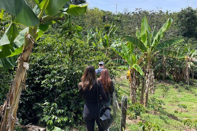 Private Tour to Guatapé & Coffee Farm from Medellín! - FAQs