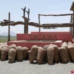 Private Tour to Huacachina from Paracas - Who Will Love This Tour?