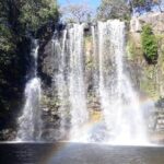 Private Tour to Llanos de Cortés Falls and Rainforest - Practical Aspects and Value