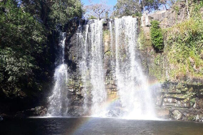Private Tour to Llanos de Cortés Falls and Rainforest - Practical Aspects and Value
