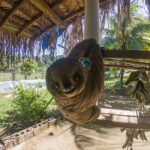 Private Tour to Monkey and Sloth Sanctuary with Optional Add-Ons and Stops - Who Will Love This Tour?