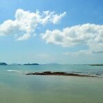 PRIVATE TOUR to Old Town, Canal and Amador - In-Depth Review