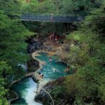 Private Tour to Oropendola Waterfall and Hot Springs with Lunch - Liberia and the Return Journey