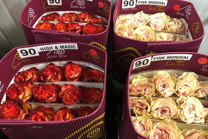 Private Tour to Papallacta Hot Springs with Optional visit to Rose Plantation - Who Should Consider This Tour?