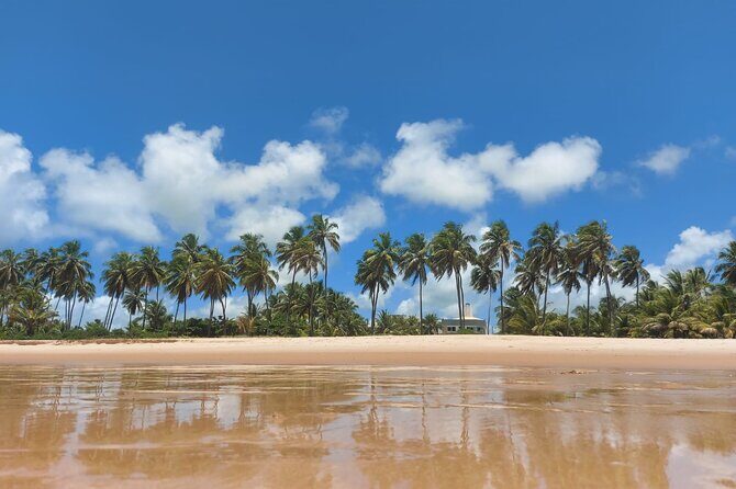 Private Tour to Praia do Forte and Praia de Guarajuba from Salvador - FAQ