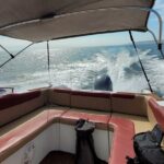 Private Tour to the Ballestas Islands - The Value of This Private Tour