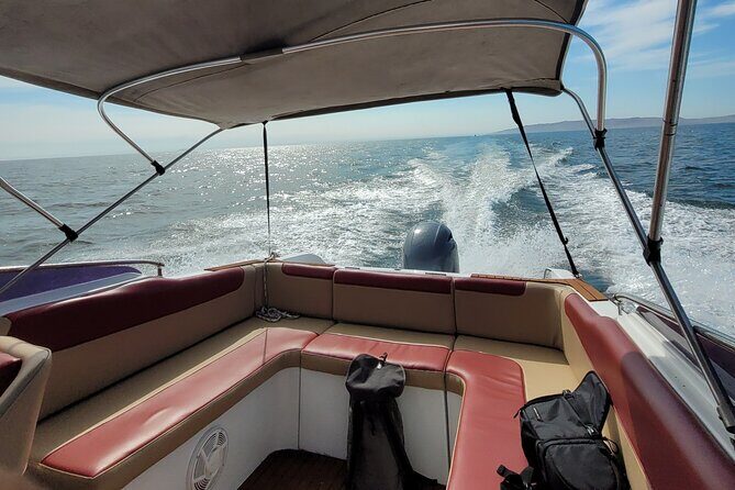 Private Tour to the Ballestas Islands - The Value of This Private Tour