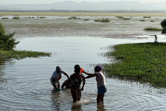 Private tour to the Mud volcano + Drone footage - Who Should Consider This Tour?