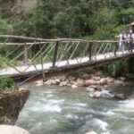 Private Tour to the Yungas Coroico The Death Route from La Paz - Analyzing the Value