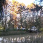 Private Tour to Tigre and the Delta - Who Is This Tour Best For?