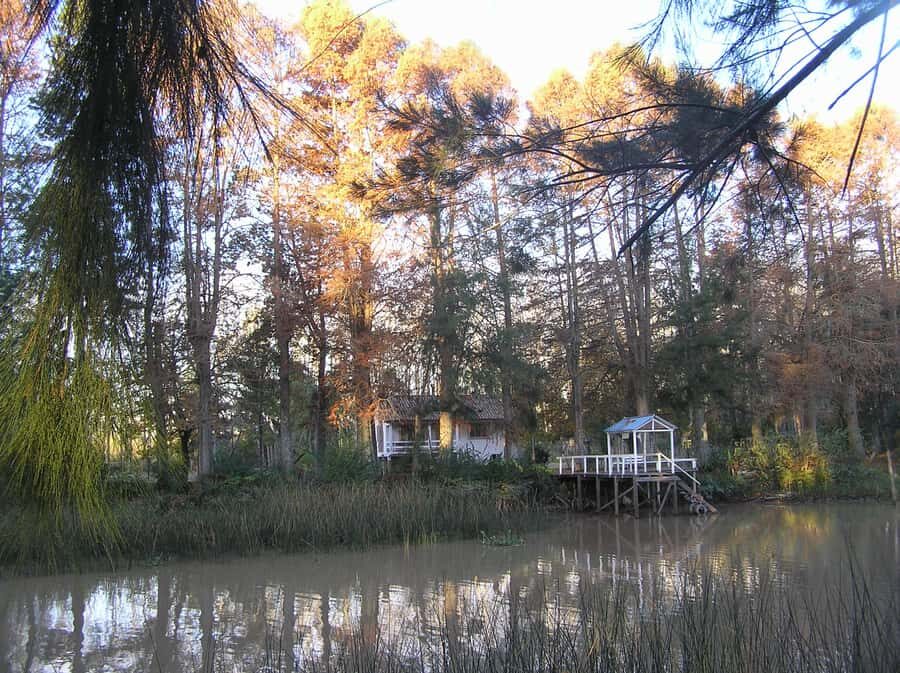 Private Tour to Tigre and the Delta - Who Is This Tour Best For?