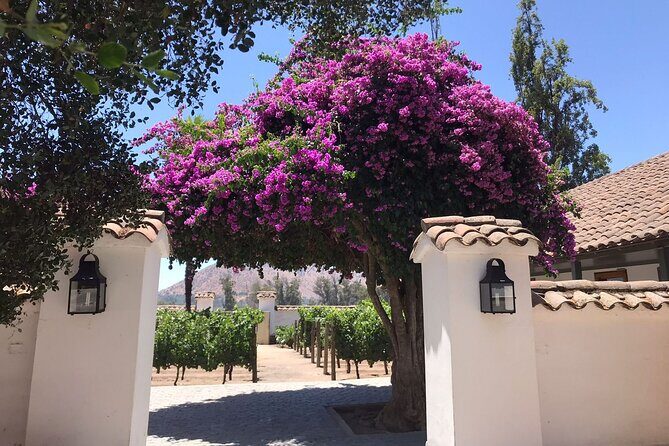 Private Tour to Viña Santa Rita - Who Will Love This Tour?