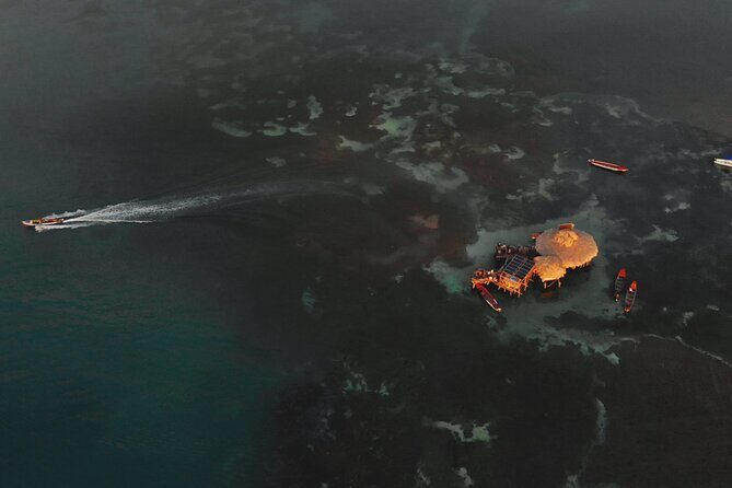 Private Tour to YS Falls, Appleton Rum Tour and Pelican Bar from Montego Bay - A Deep Dive into the Experience