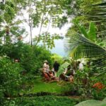 Private Tour to Zopango Island with fish Lunch, swim & kayak - Who Is This Tour For?