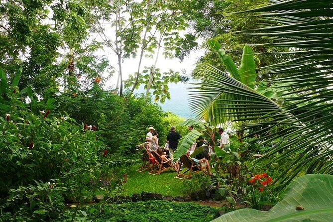 Private Tour to Zopango Island with fish Lunch, swim & kayak - Who Is This Tour For?