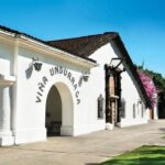 Private Tour: Undurraga Vineyard Experience with Premium Wine Tasting - Who Would Enjoy This Tour?