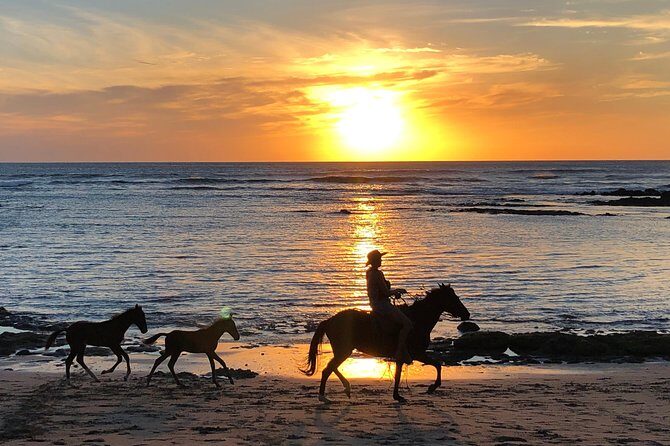 Private tours and transfer Costa Rica - Why Choose a Private Tour in Tamarindo?
