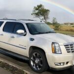 Private Transfer - Bermuda Airport (BDA) to Hamilton Cruise Port - Who Should Book This Service?