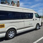 Private Transfer From LIR Airport to Westin Playa Conchal Resort - What to Expect on the Route
