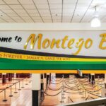 Private Transfer From Montego Bay Airport to Ocho Rios Hotel/Port - Who should consider this transfer?