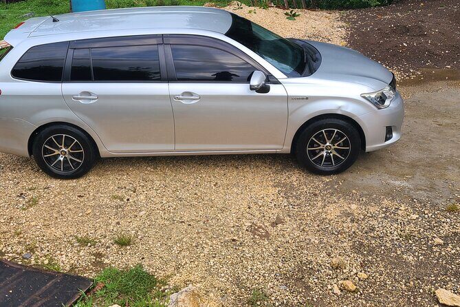 Private Transfer from Montego Bay Airport to Ocho Rios Hotels - Why This Transfer Suits Different Travelers