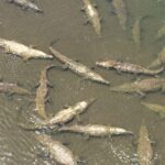 Private Transfer from or to San Jose Airport from or to Manuel Antonio - Who Is This Transfer Best For?