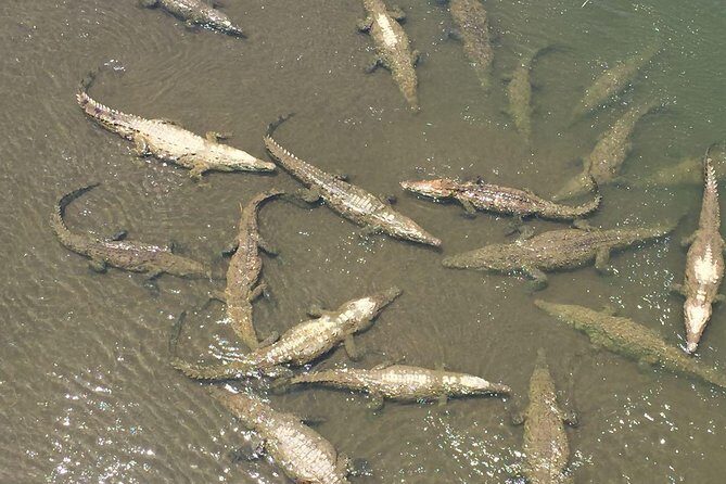 Private Transfer from or to San Jose Airport from or to Manuel Antonio - Who Is This Transfer Best For?