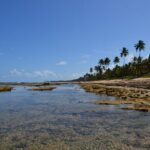 Private Transfer from Porto de Galinhas to Recife Airport - An In-Depth Look at the Transfer Experience