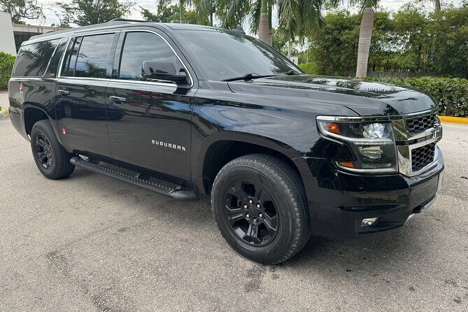 Private Transfer from Punta Cana Airport to Bávaro Hotels - Who Should Consider This Transfer?