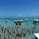 Private Transfer from Recife Airport to Maragogi - The Value of a Private Transfer