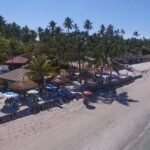 Private Transfer from Recife Airport to Praia dos Carneiros - The Sum Up: Who Should Book This Transfer?
