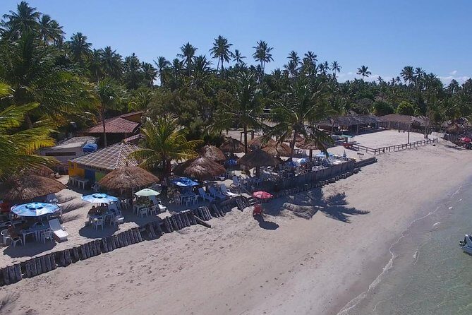 Private Transfer from Recife Airport to Praia dos Carneiros - The Sum Up: Who Should Book This Transfer?