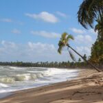 Private Transfer from Recife Airport to Serrambi By RECIFE TRANSLADO - Authentic Reviews and Insights