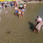 Private Transfer from Recife Airport to Tamandaré - What You Can Expect at the Meeting Point and During Your Journey