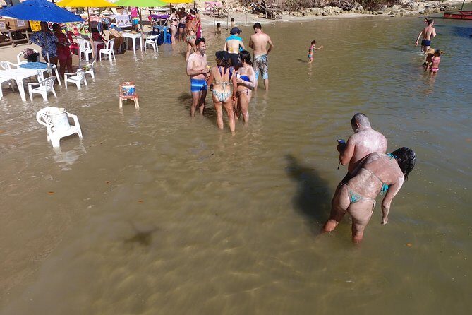 Private Transfer from Recife Airport to Tamandaré - What You Can Expect at the Meeting Point and During Your Journey